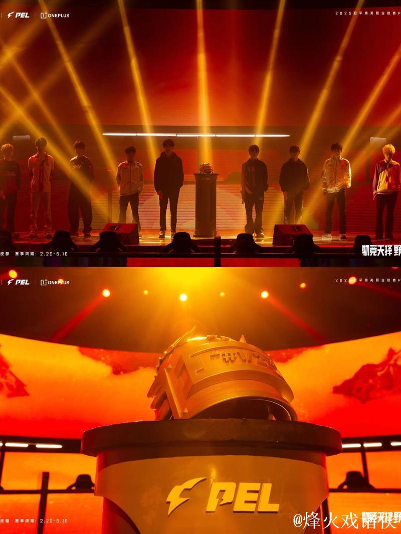 PGC 2025&PMGC 2025开幕式：两大吃鸡赛事同场举办、同一舞台